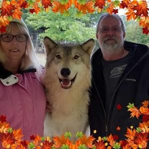 Meet your Posher, Virginia